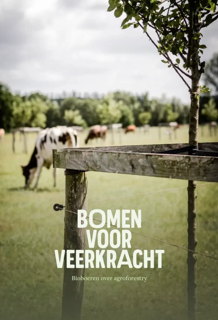 Titelblad rapport: bomen voor veerkracht