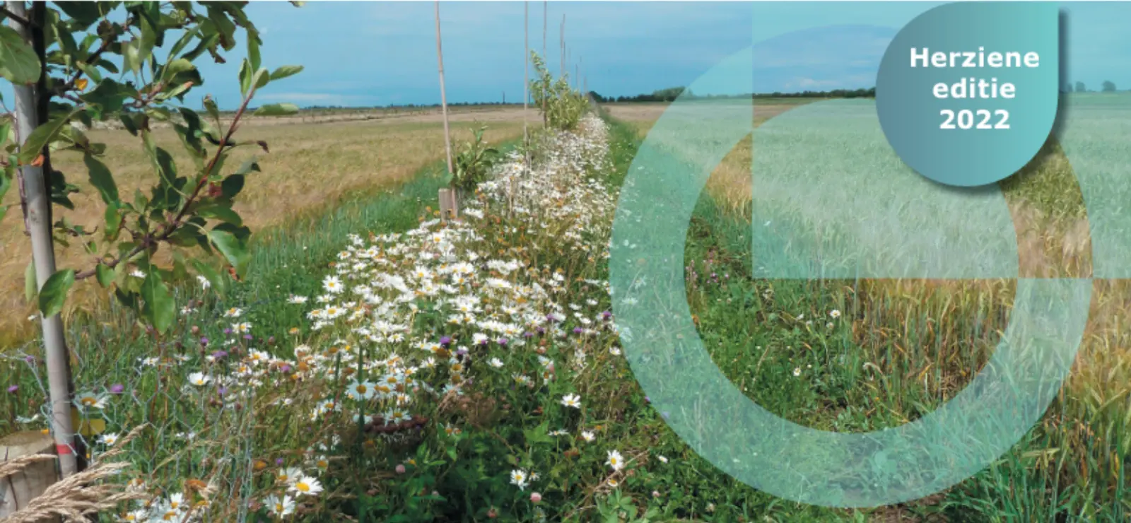 Titelblad rapport agroforestry in akkerbouw