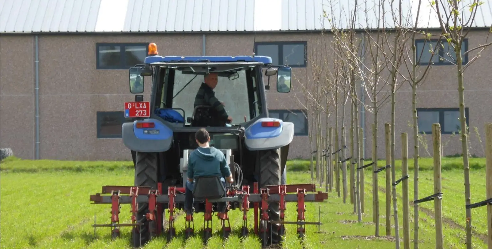 Tractor in agroforestry perceel