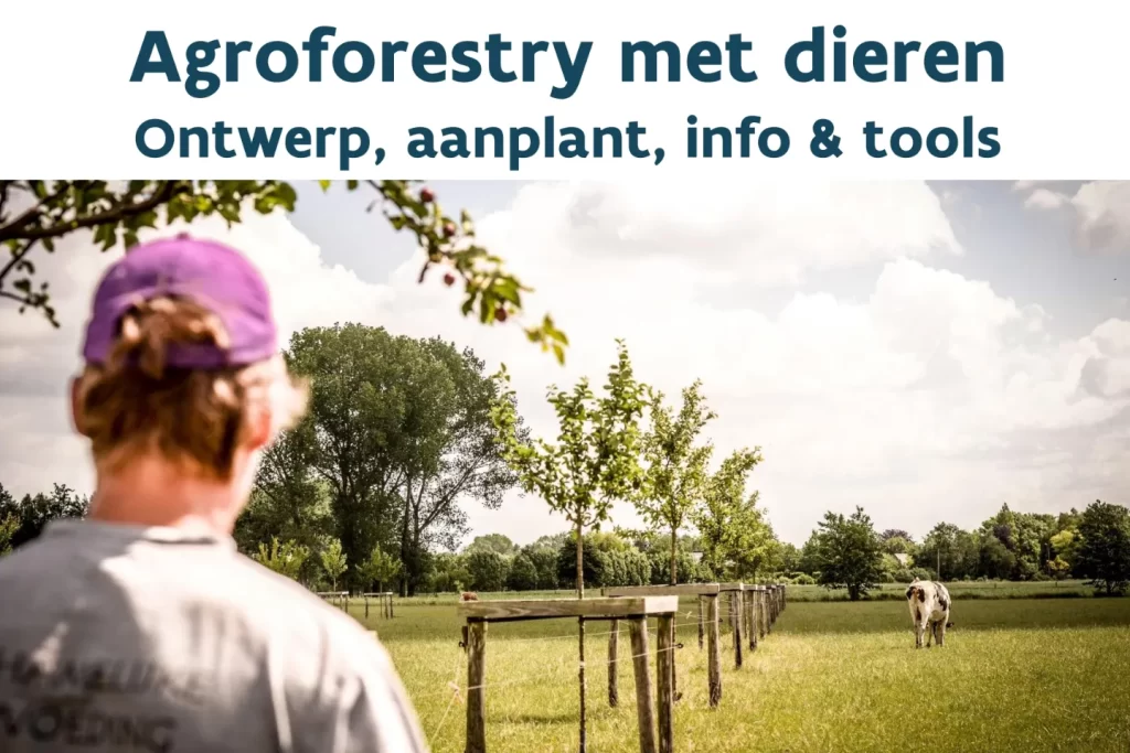 titelblad: agroforestry met dieren