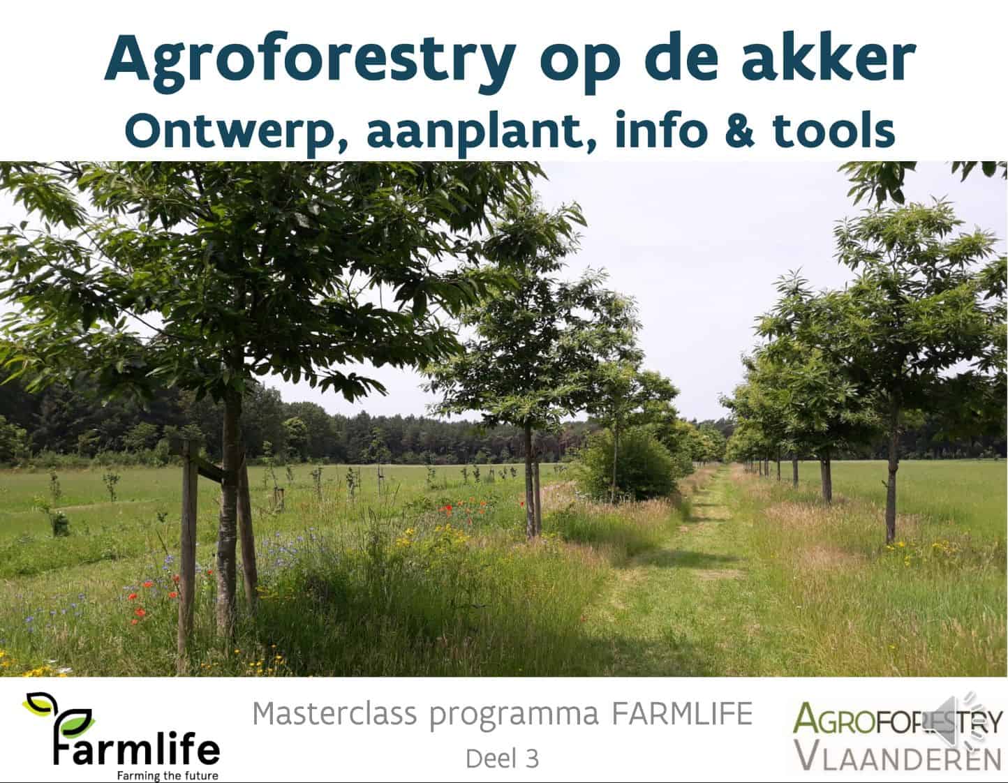 titelblad: agroforestry op de akker