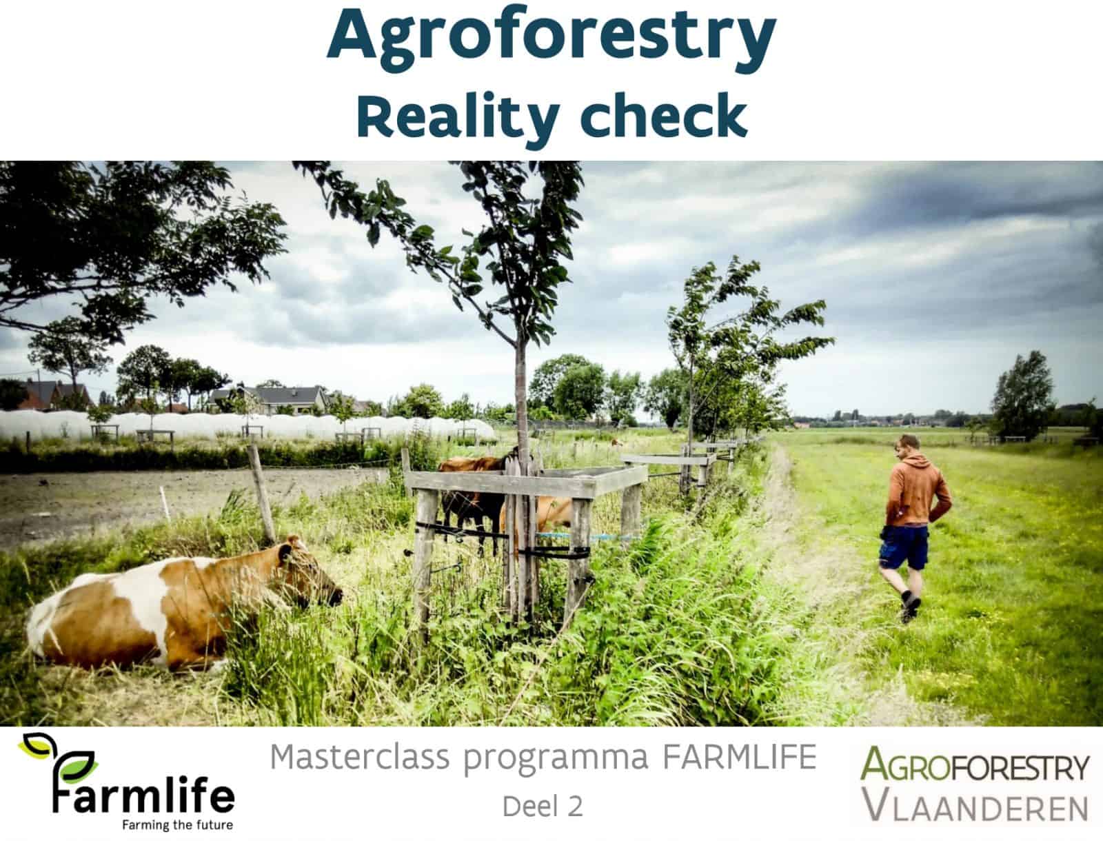 titelblad: agroforestry reality check