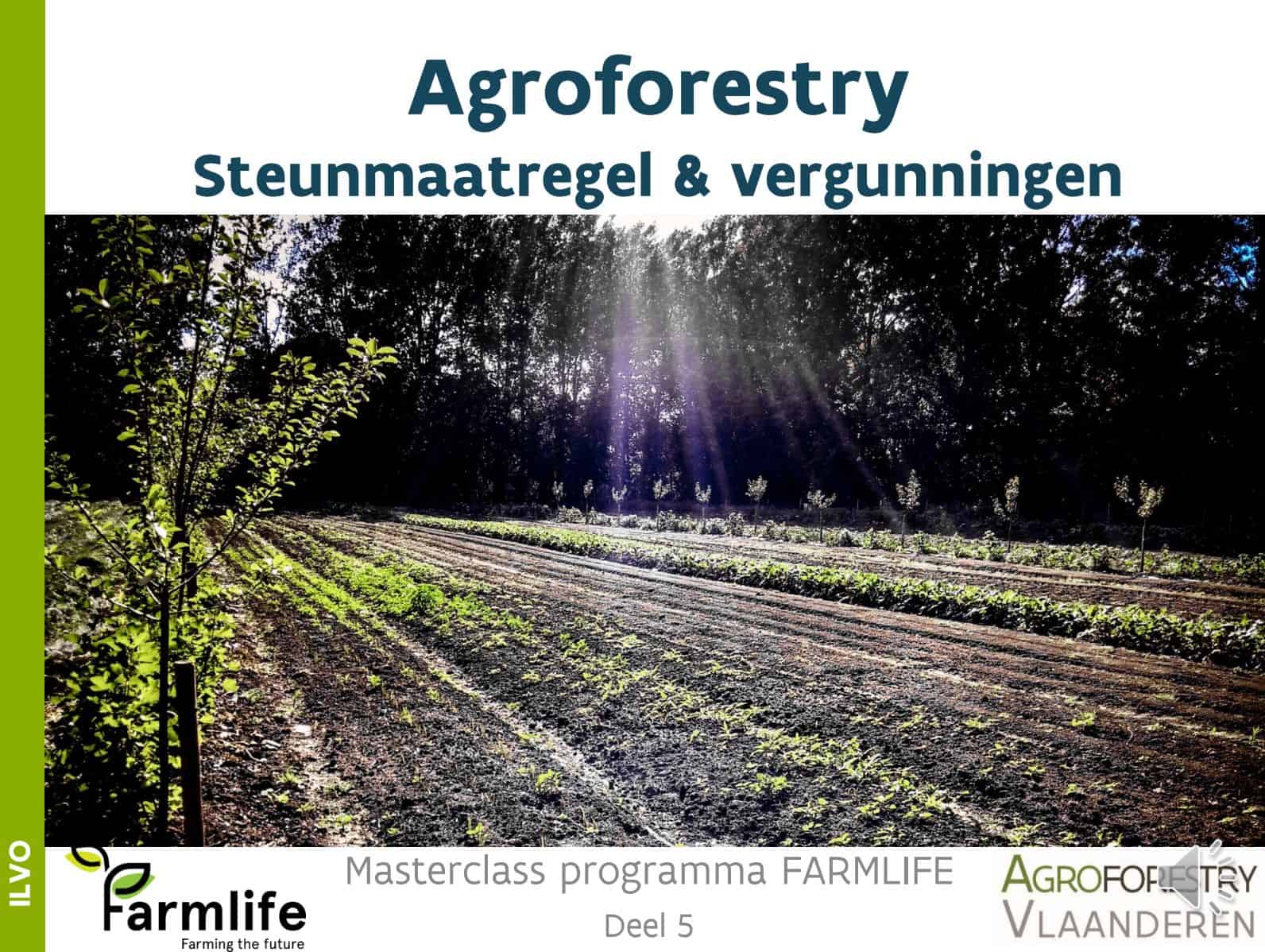 titelblad: agroforestry steunmaatregel en vergunningen