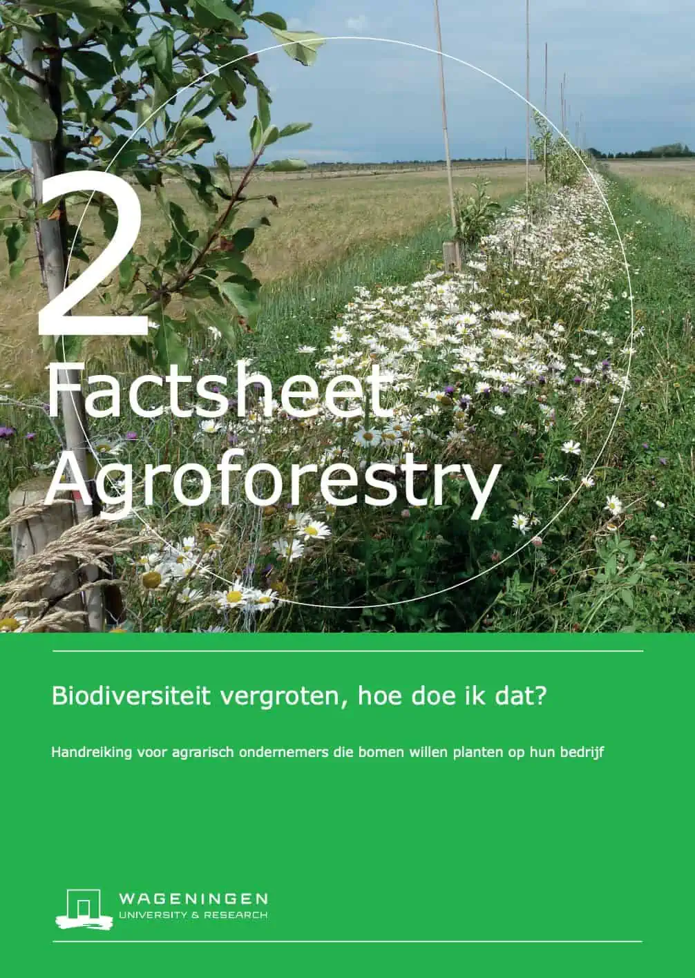 Titelblad factsheet: biodiversiteit vergroten