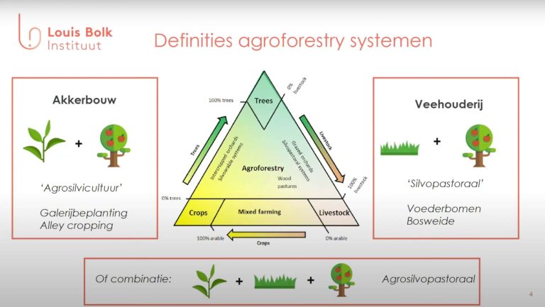 definities agroforestry systemen
