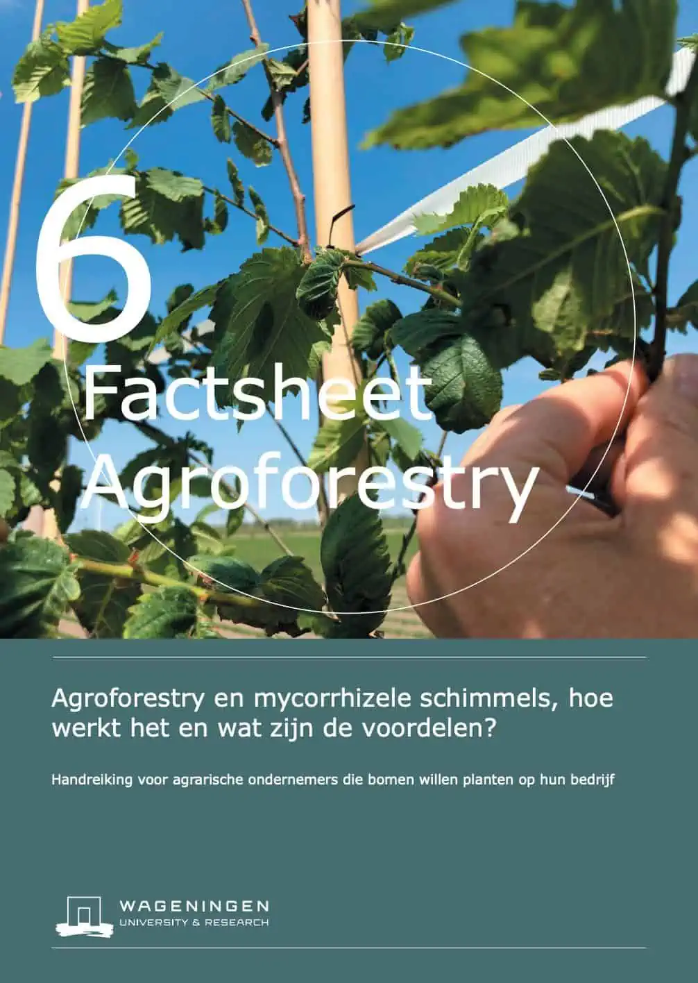 Titelblad: Factsheet Agroforestry en mycorrhizele schimmels