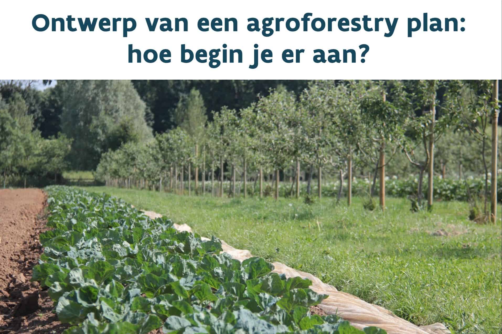 titelblad: ontwerp van een agroforestry plan