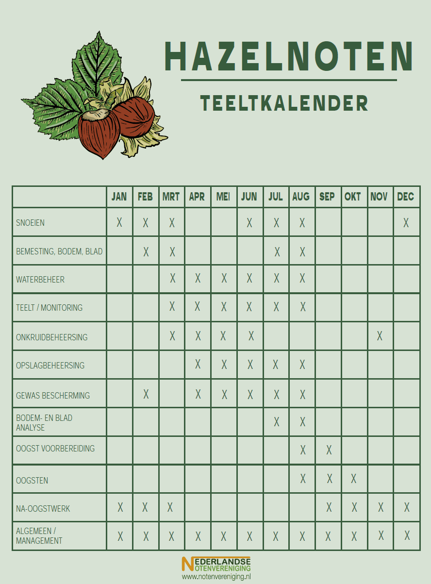 Teeltkalender hazelnoten