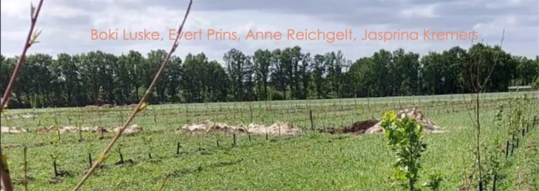 Agroforestry perceel