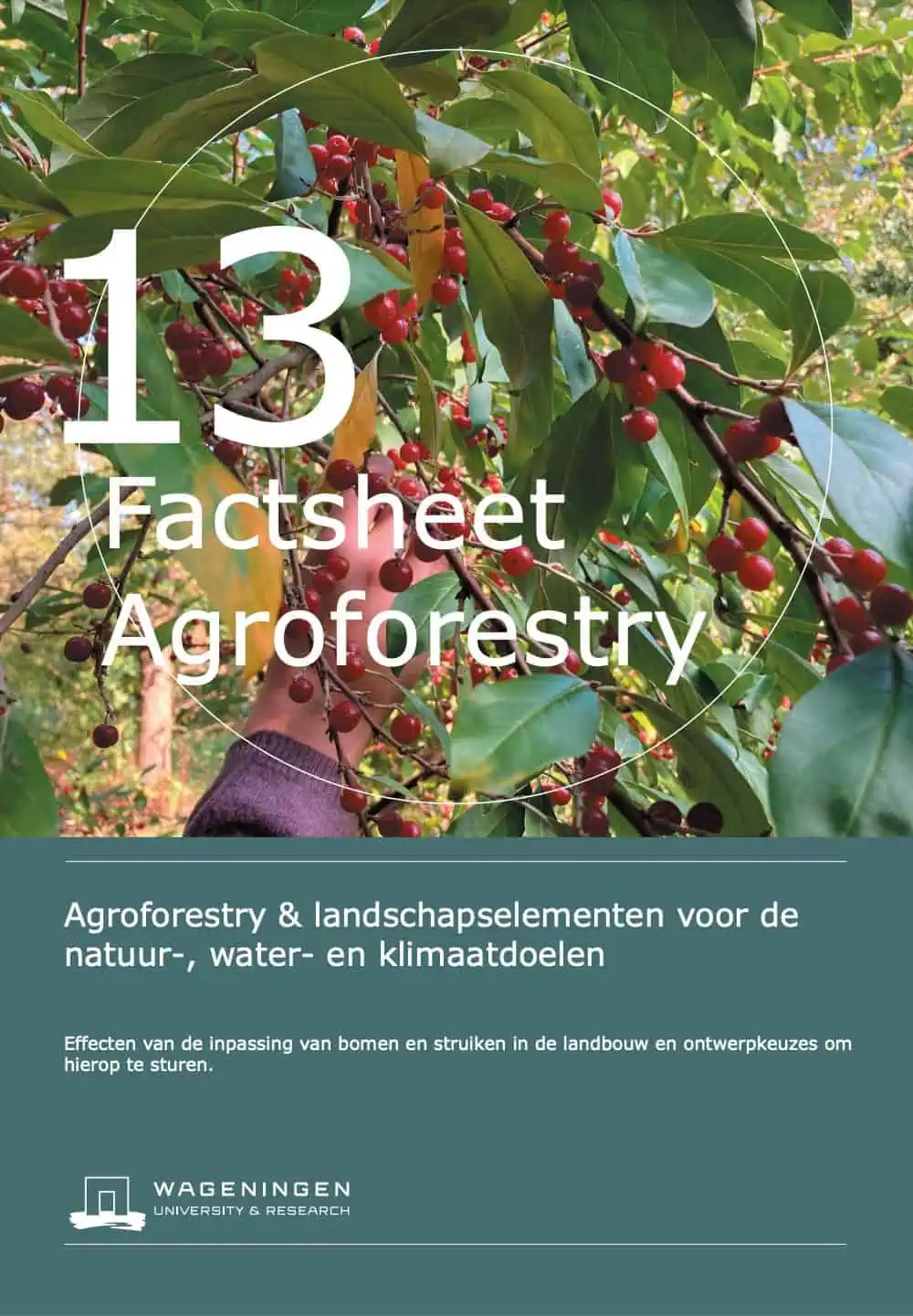 Agroforestry & Landschapselementen Voor De Natuur-, Water- En Klimaatdoelen