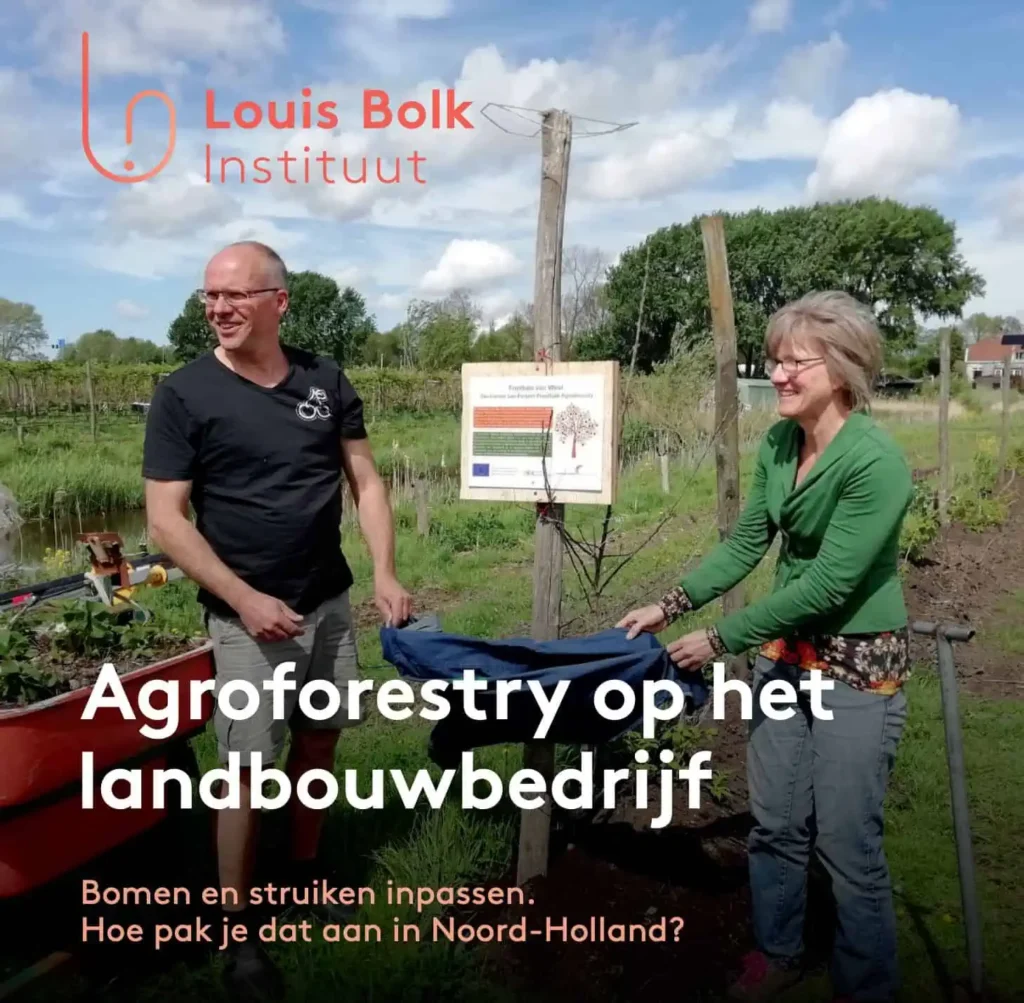 Agroforestry Op Het Landbouwbedrijf