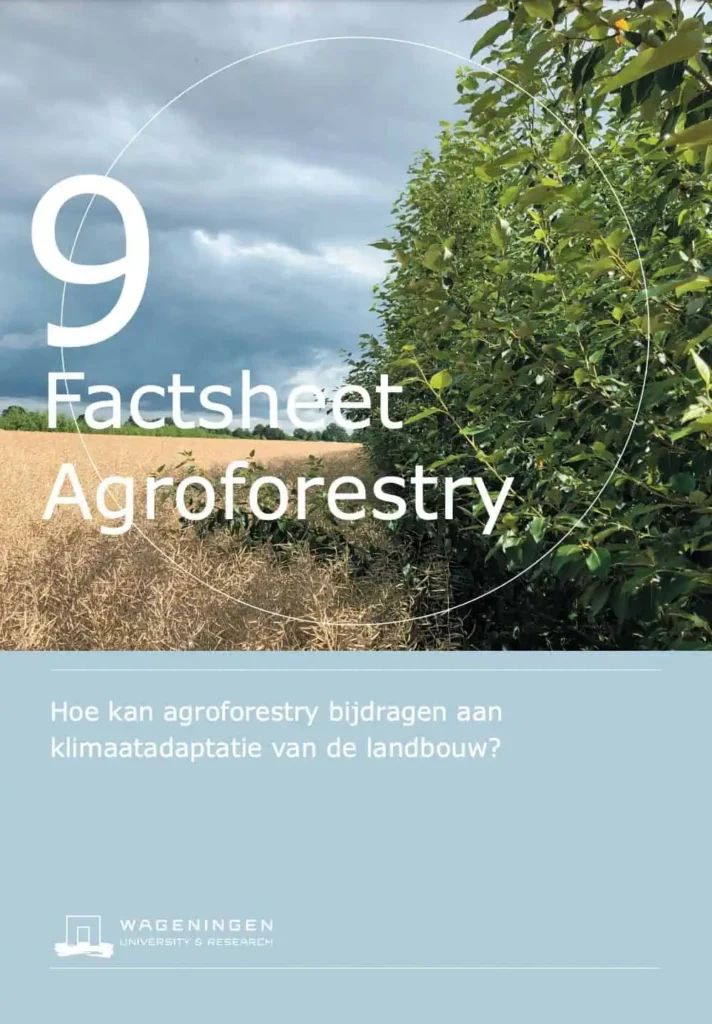 Cover page factsheet: Hoe Kan Agroforestry Bijdragen Aan Klimaatadaptatie Van De Landbouw?