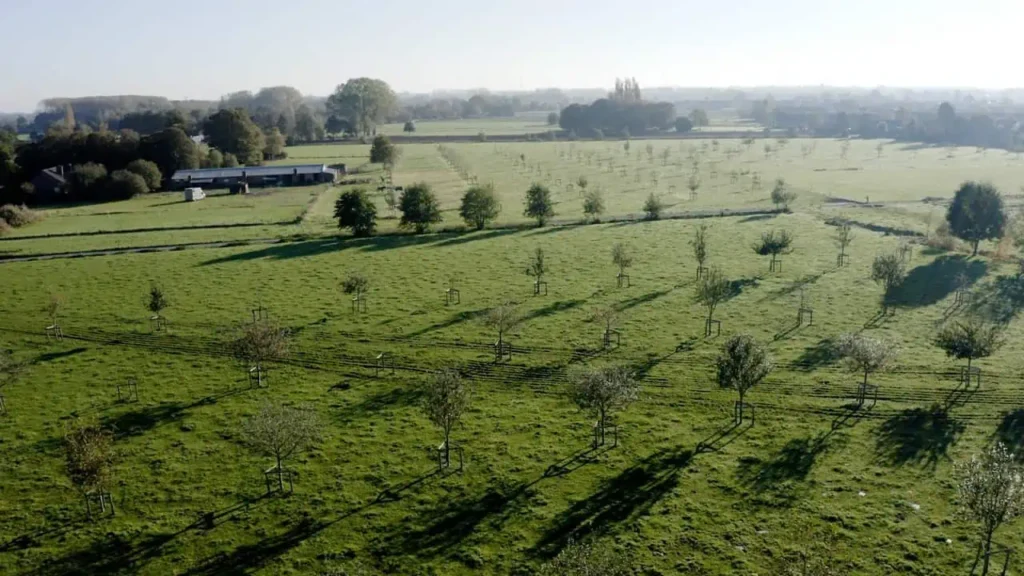 Ontwerp van een agroforestry perceel, gezien vanuit de lucht