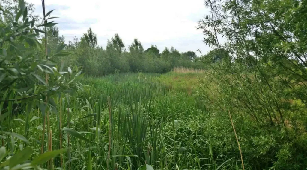 Voedselbos Ketelbroek