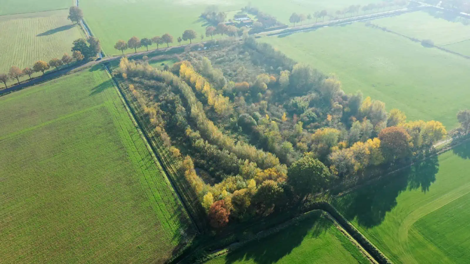 Voedselbos gezien vanuit de lucht, dronebeeld