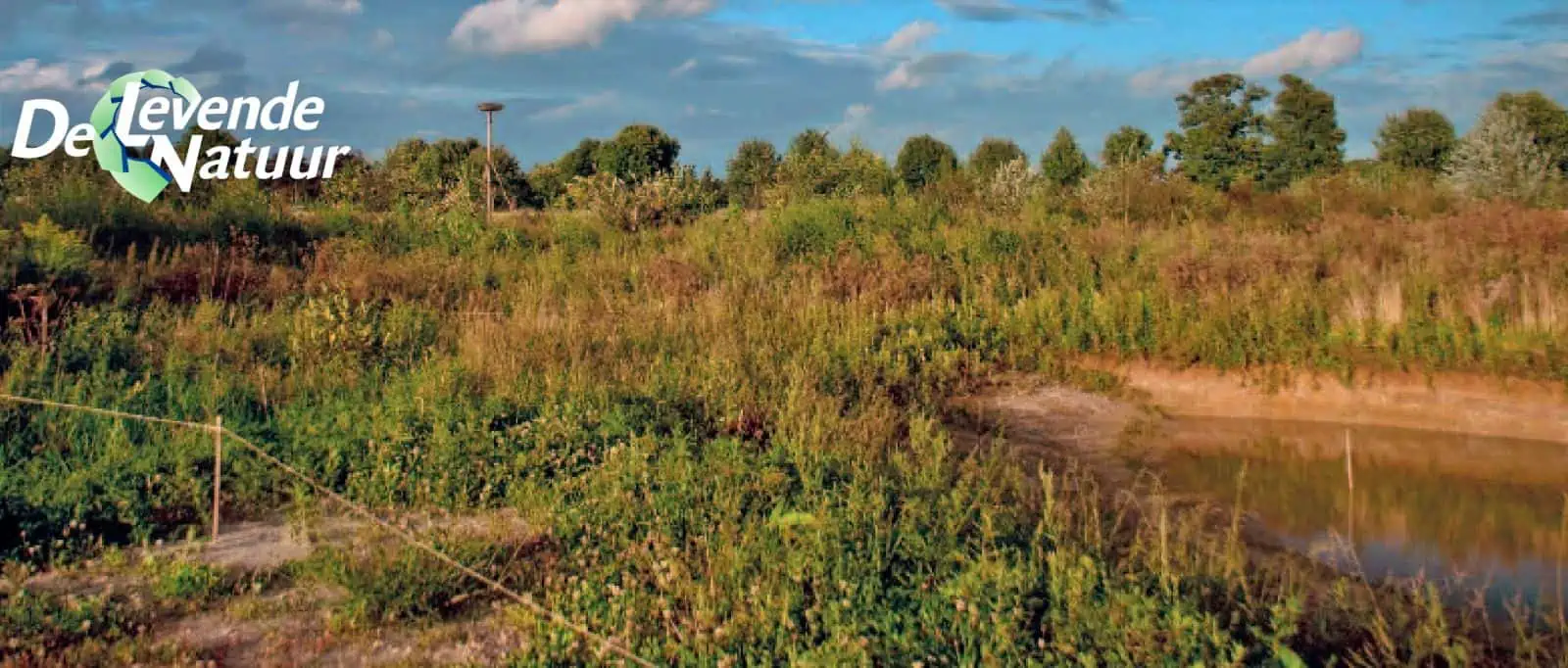 Voedselbossen Van Belang Voor Biodiversiteit