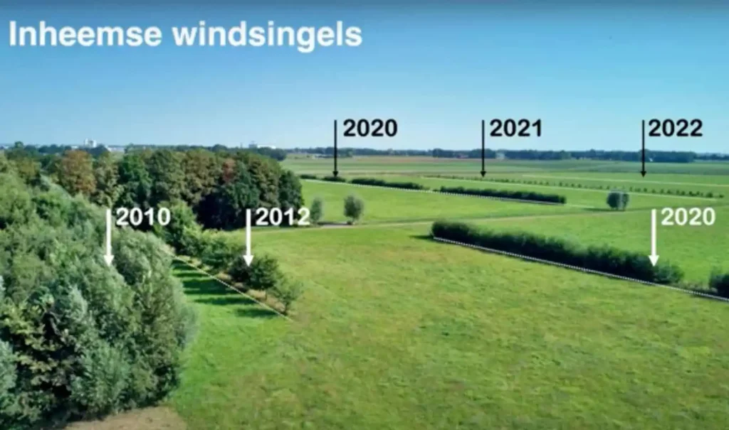 Agroforestry in Melkveehouderij - windsingels