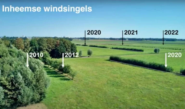 Agroforestry in Melkveehouderij - windsingels