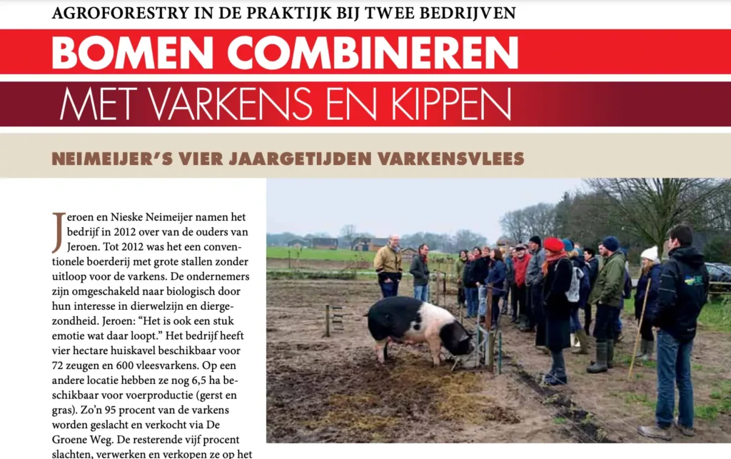 Bomen combineren met varkens en kippen