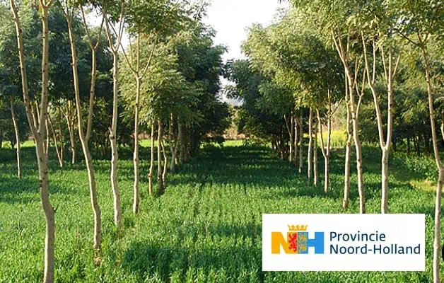 Agroforestry perceel