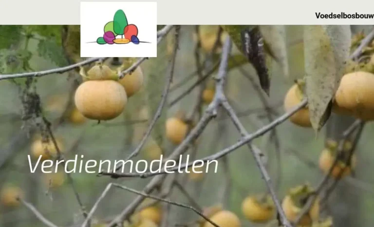 rekentool verdienmodellen voedselbosbouw