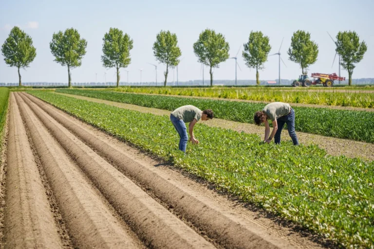 header EIP provincies