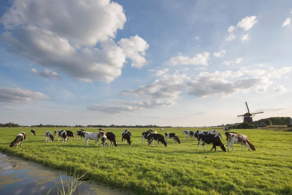 GLB projectsubsidie demonstratiebedrijven