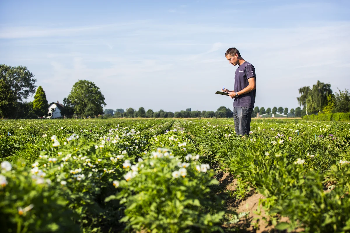 RVO regeling groenprojecten