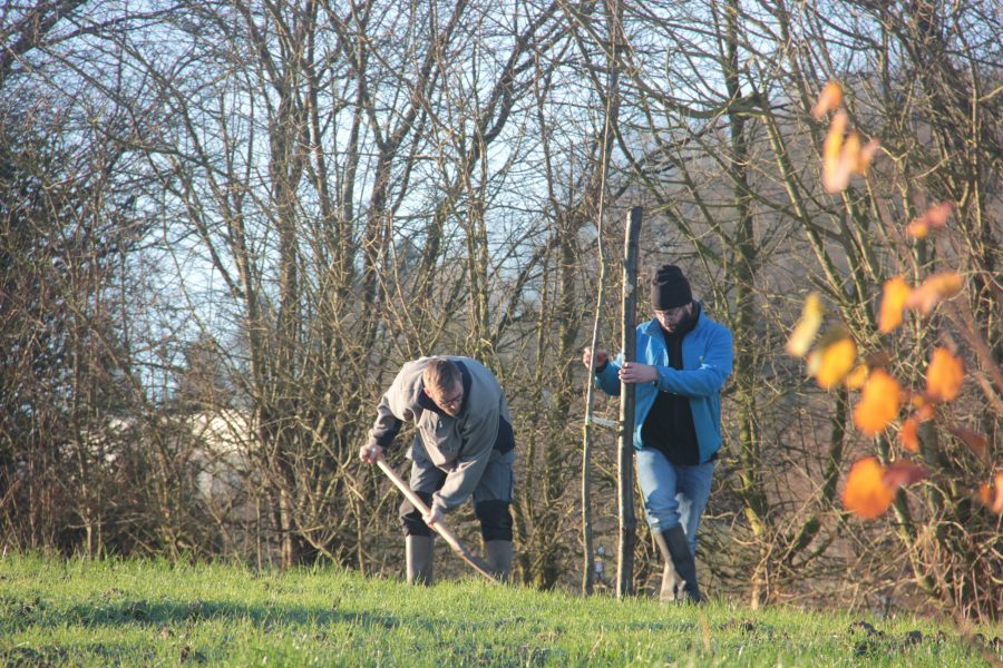 Aanplant van een voedselbos