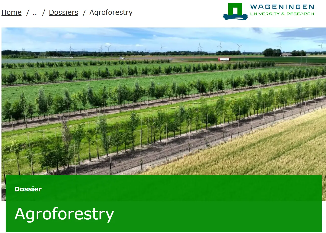 Webpagina WUR dossier agroforestry