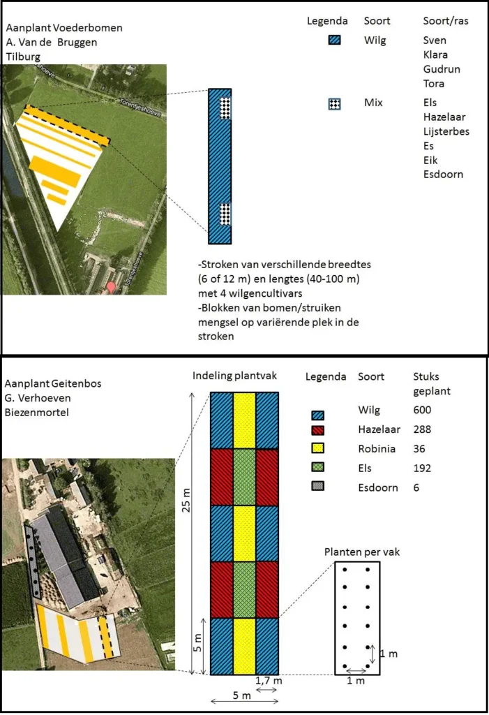 beplantingsplannen voederbomen