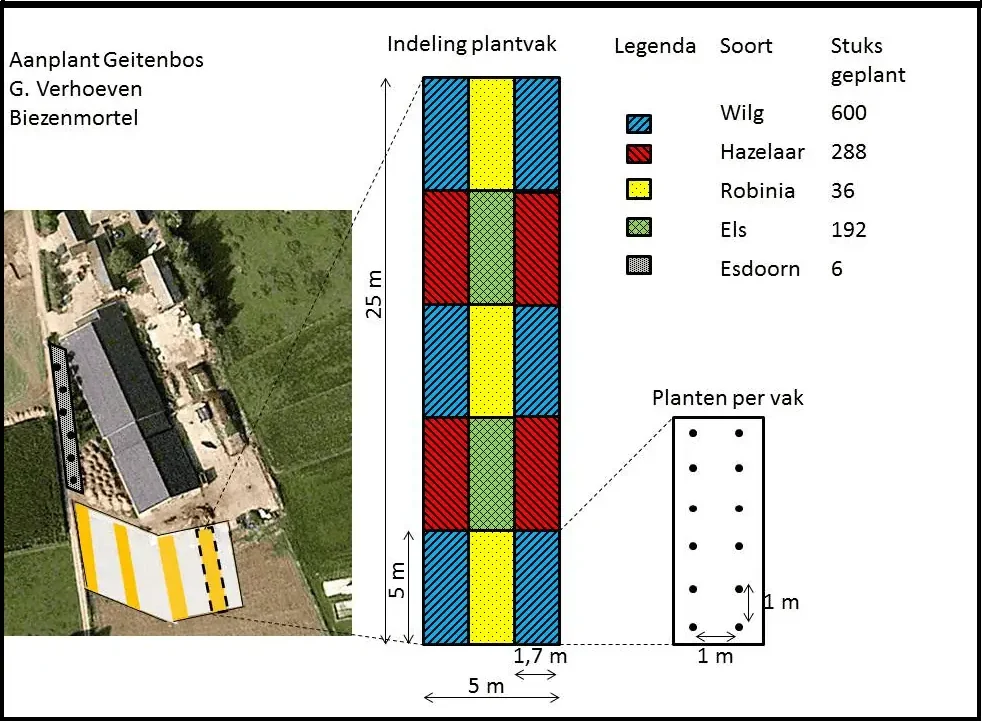 beplantingsplannen voederbomen