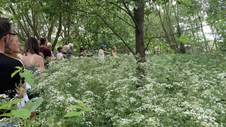 netwerk voedselbosbouw meetings