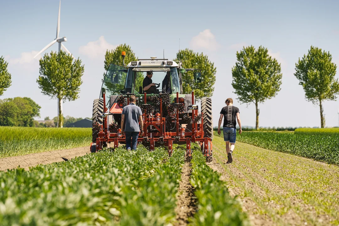 Afbeelding bij EIP RVO subsidie