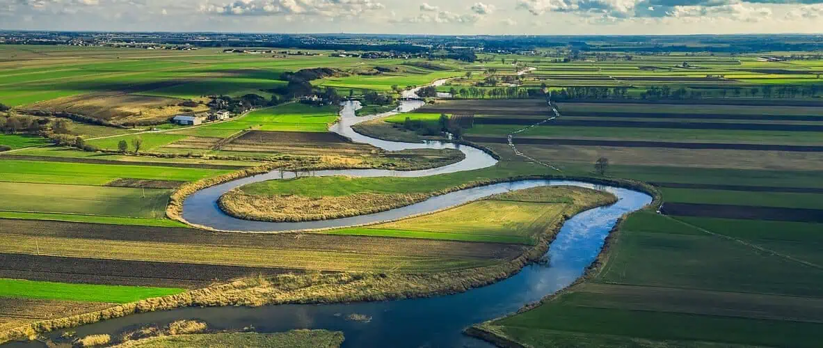 Subsidie Deltaplan biodiversiteit