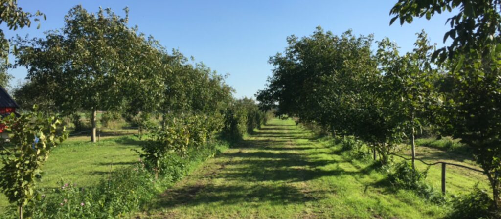 agroforestry-Utrecht