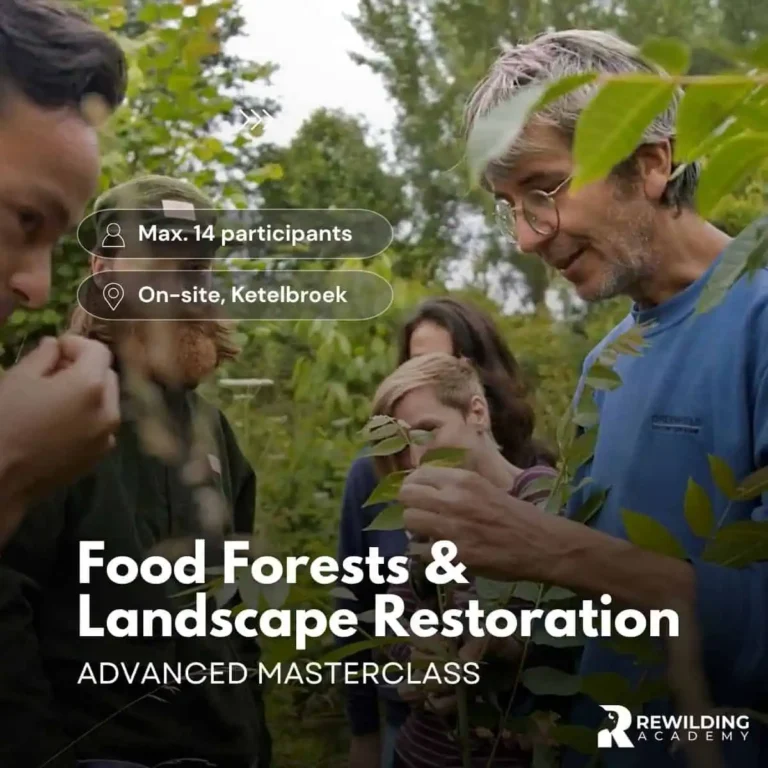 Voedselbos cursus met Wouter van Eck