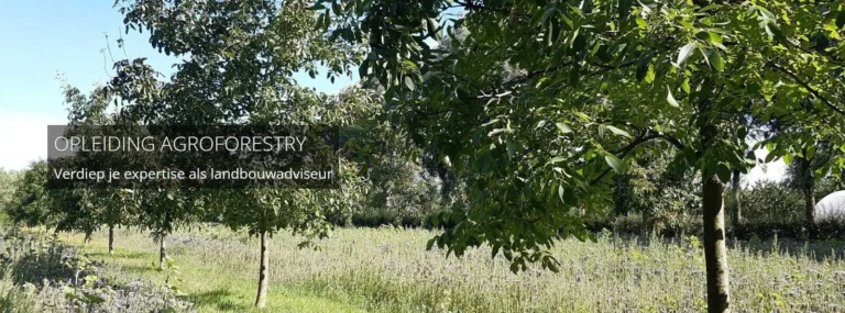 opleiding agroforestry adviseur Cambium