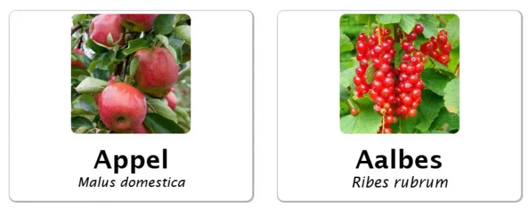 planten combinatie tool