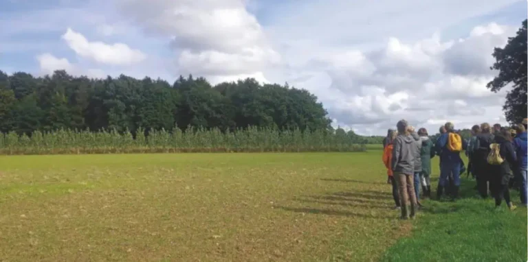 Agroforestry netwerk Gelderland