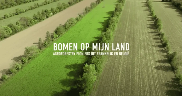 Documentaire bomen op mijn land