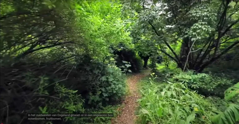 Forest Garden National Geographic