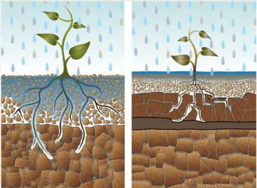 ecohydrologisch onderzoek voedselbos