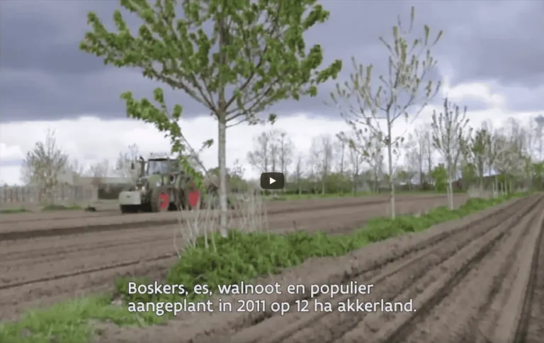 Agroforestry op een boombedrijf