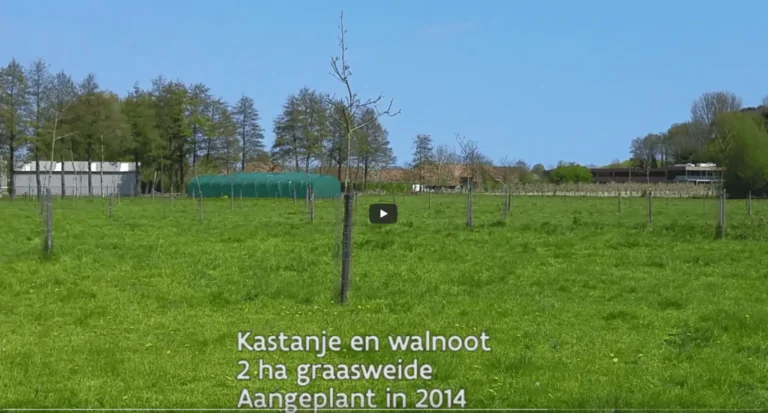 Agroforestry op biologisch gemengd bedrijf