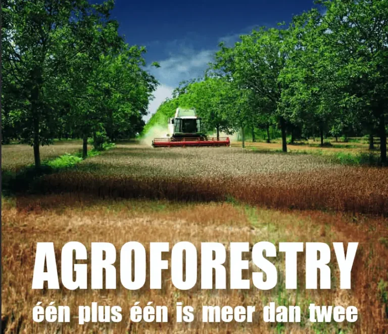 Agroforestry brochure Wervel