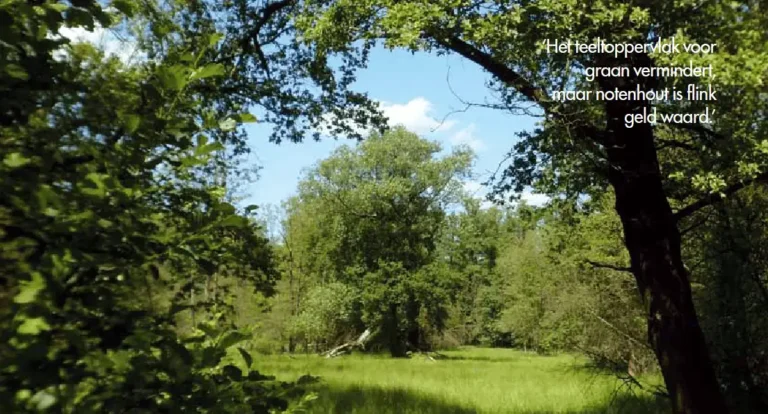 Agroforestry - hype of duurzaam perspectief