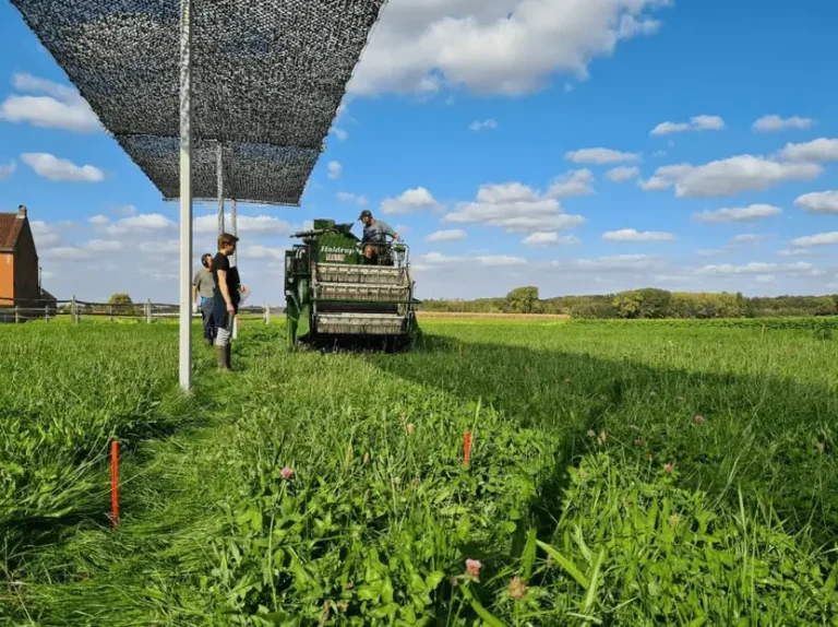 Agroforestry schaduwproeven