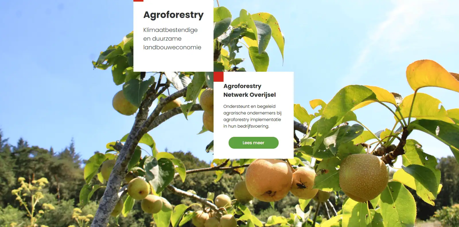 Agroforestry Netwerk Overijssel