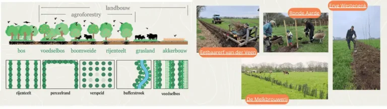 Agroforestry handreiking beleidsmakers
